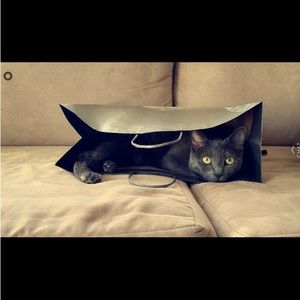 Meet your Posher, Andru